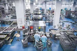 百名社長(zhǎng)總編走進(jìn)無限極新會(huì)生產(chǎn)基地受羊城晚報(bào)等全國(guó)主流媒體關(guān)注