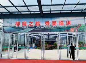 柳編之都 秀美臨沭 一起來(lái)看創(chuàng)意柳編吧